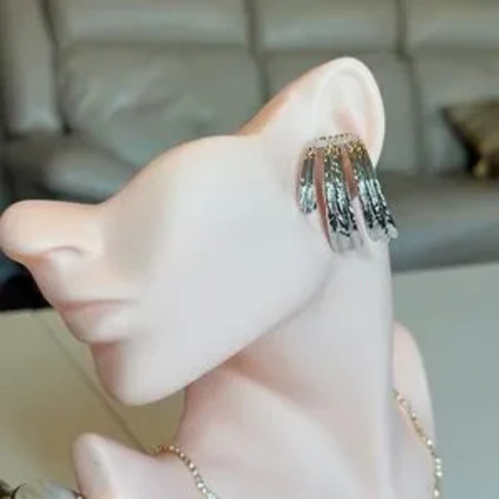 ?? Silver and Gold Women's Earrings